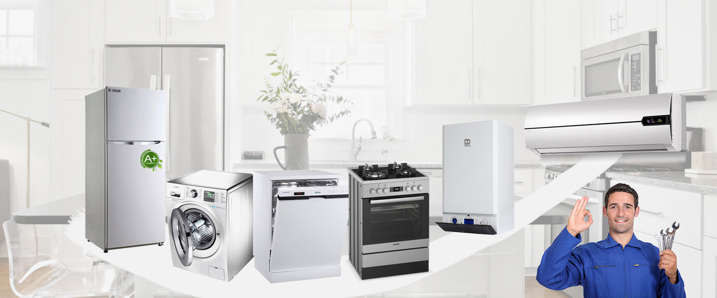 Bayraklı Philips Servisi